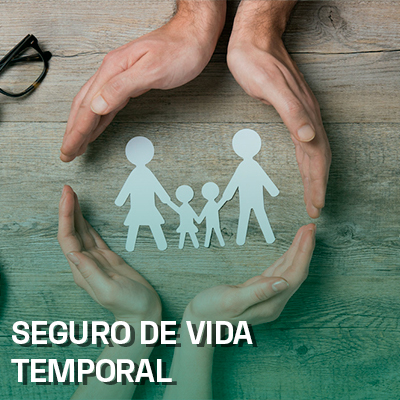 seguro-temporal-nosotros